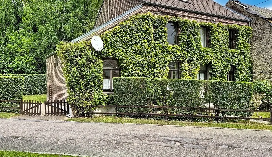 image de la Vidéo
